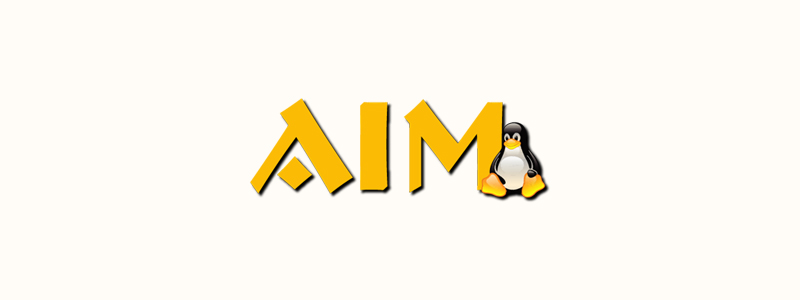 aim image